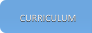 CURRICULUM CURRICULUM